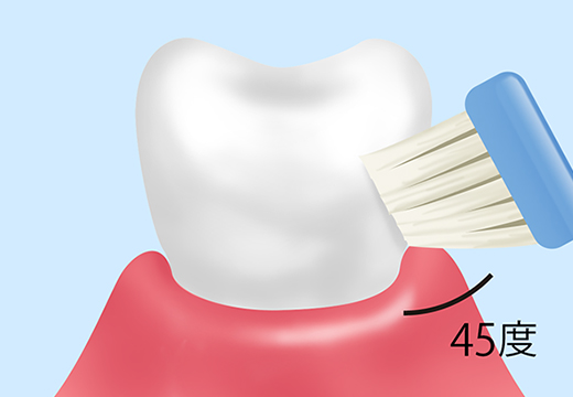 歯みがき指導
